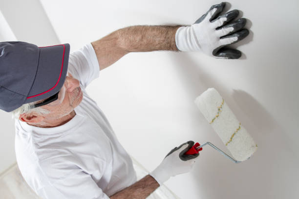 Best Mold-Related Health Consultation  in Ellitt, CO