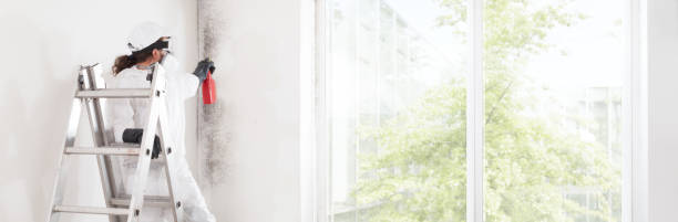 Best Mold Remediation for Healthcare Facilities  in Ellitt, CO
