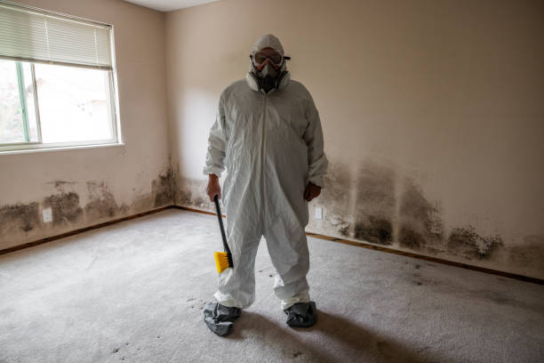 Best Industrial Mold Remediation  in Ellitt, CO