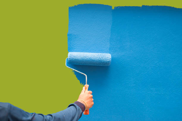 Best Black Mold Removal  in Ellitt, CO